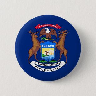 Michigan-Staatsflagge USA vereinigte Button
