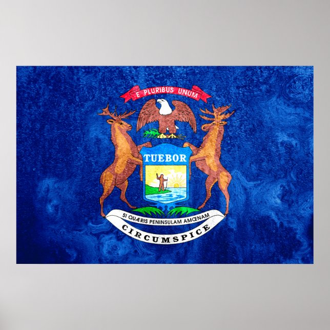 Michigan State Flag Grunge Poster (Vorne)