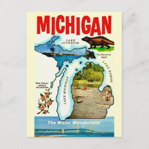 Michigan State Vintage Postkarte