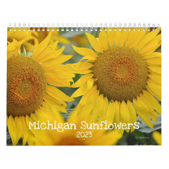 Michigan Sunflowers Kalender (Titelbild)