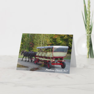 michigan_trip 024, Mackinac Insel, MI Karte