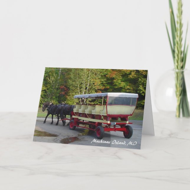 michigan_trip 024, Mackinac Insel, MI Karte (Vorderseite)