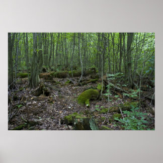 Michigan-Waldprint Poster