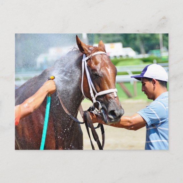 Michonne Postkarte (Vorderseite)