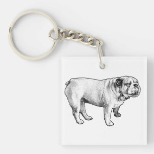 Microdot-Pose, Bulldogge Schlüsselanhänger