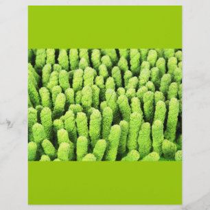 Microfasertuch Flyer