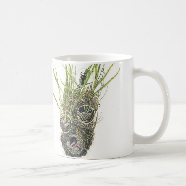 Microhabitat Tasse (Rechts)