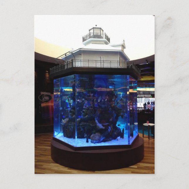 Middle Bay Lighthouse Fish Tank Postkarte (Vorderseite)