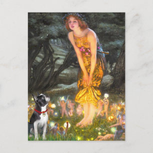 MidEve - Boston Terrier #2 Postkarte