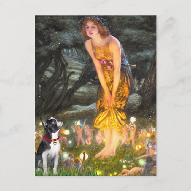 MidEve - Boston Terrier #2 Postkarte (Vorderseite)