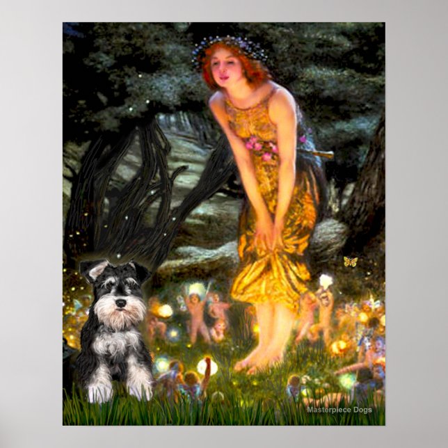 MidEve - Schnauzer (B) Poster (Vorne)