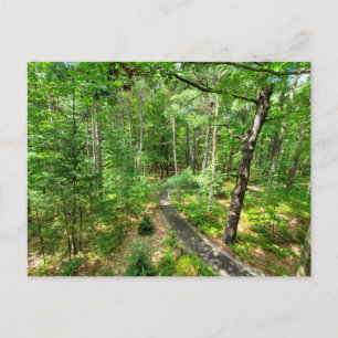 Midland Michigan Naturlehrpfad Postkarte