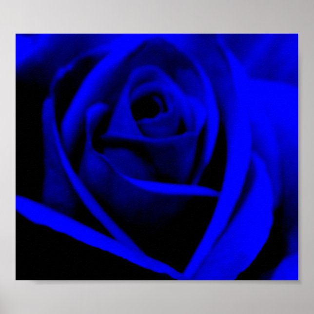 Midnight Blue Rose - Poster/Print Poster (Vorne)