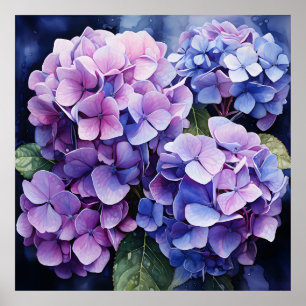 Midnight Garden Violet Hydrangea Wassercolor Poster