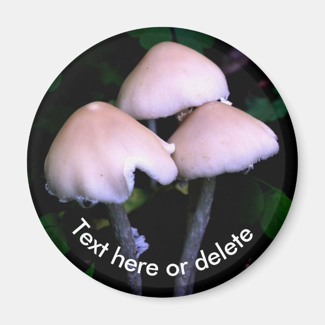 Midnight Mushrooms Nature Personalized Magnet (Vorne)