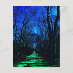 Midnight Path Postcard Postkarte