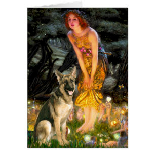 Midsommer Eve - German Shepherd 2