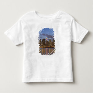Midtown Manhattan Kleinkind T-shirt