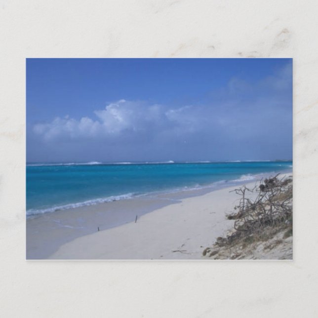 Midway Atoll Beach Postkarte (Vorderseite)
