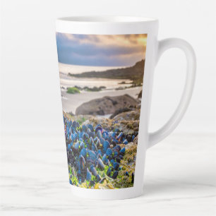 Miesmuscheln Milchtasse