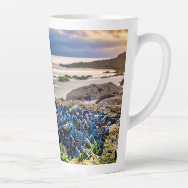Miesmuscheln Milchtasse (Rechts)