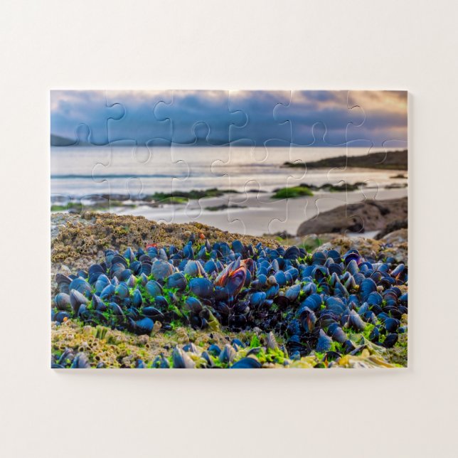 Miesmuscheln Puzzle (Horizontal)