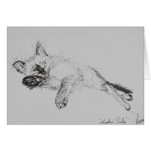 Miezekatze 'Baby
