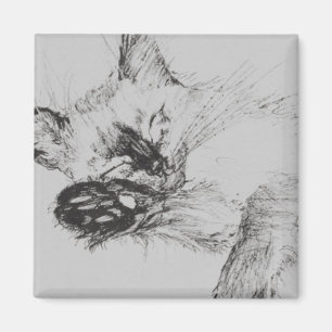 Miezekatze 'Baby Magnet