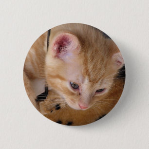 MIEZEKATZE BUTTON