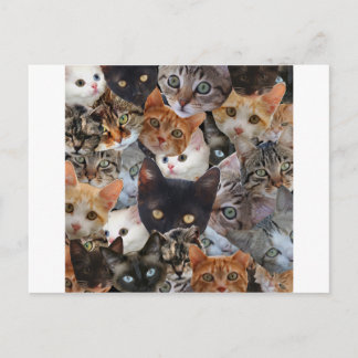 Miezekatze-Collage Postkarte