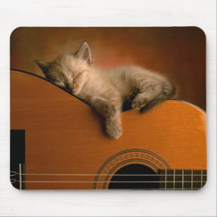 Miezekatze, die auf Gitarre Mousepad schläft