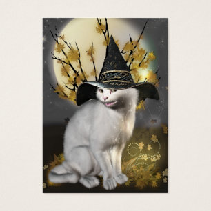 Miezekatze die magische Hexe-Katze