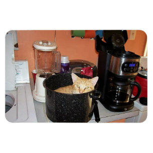 Miezekatze-Eintopfgericht Magnet