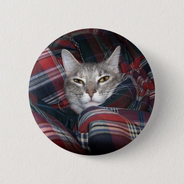 Miezekatze erhält cozy. button (Vorderseite)