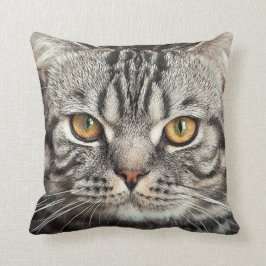 Miezekatze-Gesichts-Nahaufnahme-Kissen Kissen