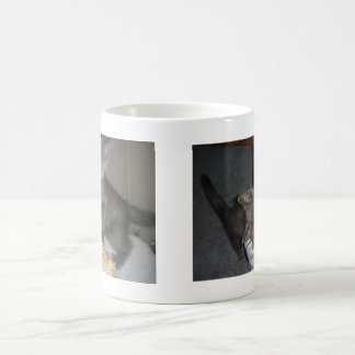 Miezekatze Kaffeetasse