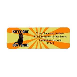 Miezekatze-Katze interessieren sich nicht