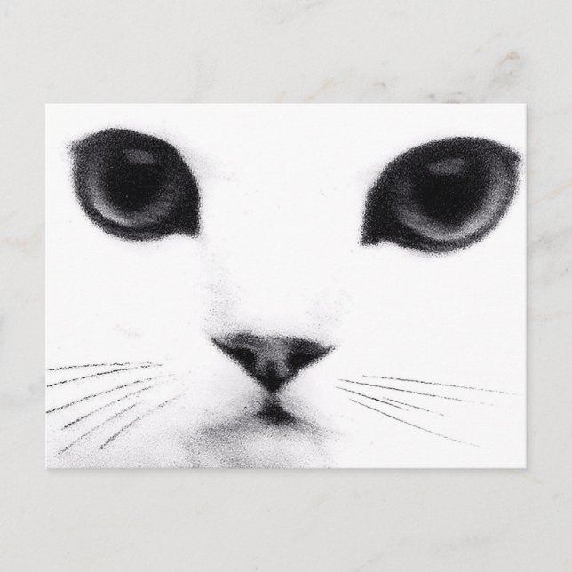 Miezekatze-Katzen-Eigenschaften Postkarte (Vorderseite)