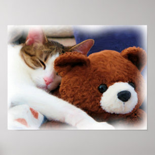 Miezekatze mit Teddybär-Druck Poster
