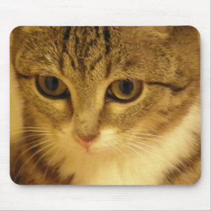 Miezekatze Mousepad