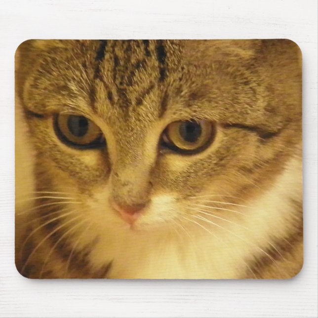 Miezekatze Mousepad (Vorne)