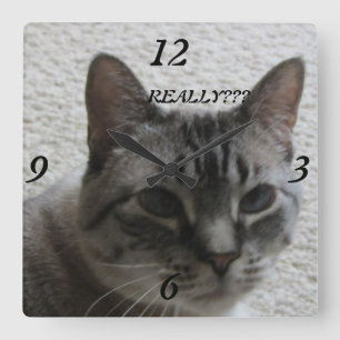 Miezekatze Tude Wanduhr! Quadratische Wanduhr