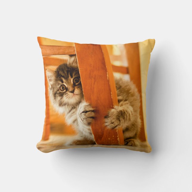 Miezekatze unter Stuhl Kissen (Vorderseite)