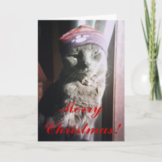 Miezekatze-Weihnachten Feiertagskarte