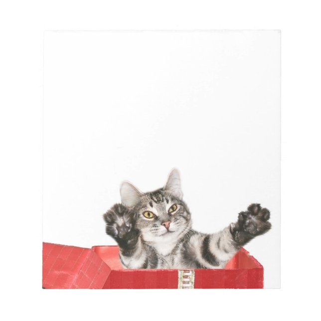 Miezekatze-Weihnachtsumarmung Notizblock (Vorderseite)