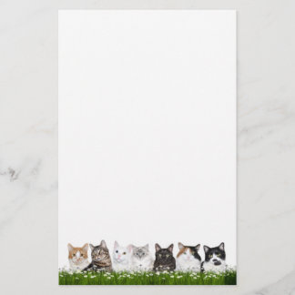 Miezekatzekatzen in den Gänseblümchen Briefpapier