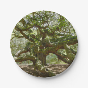 Mighty Angel Oak Pappteller