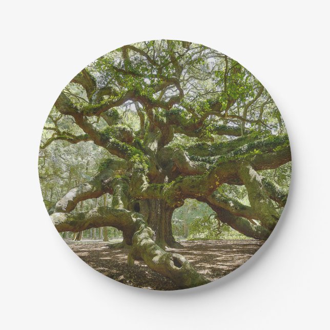 Mighty Angel Oak Pappteller (Vorderseite)