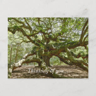 Mighty Angel Oak Postkarte