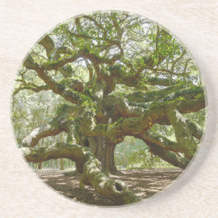 Mighty Angel Oak Sandstein Untersetzer